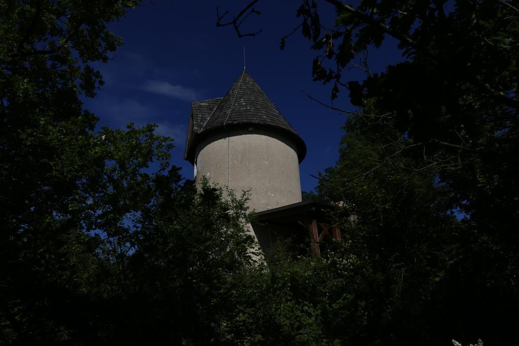 Moulin De Rouze Villa Castelnaud-de-Gratecambe Rom bilde