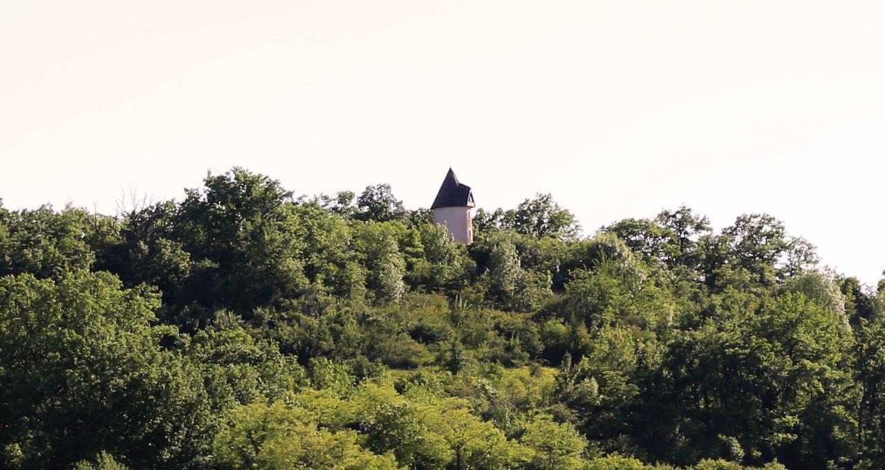 Moulin De Rouze Villa Castelnaud-de-Gratecambe Eksteriør bilde